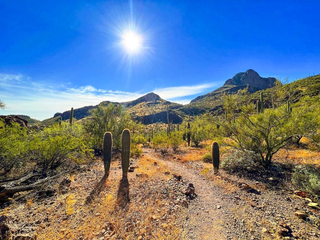 Safford Peak Mountain in Arizona
